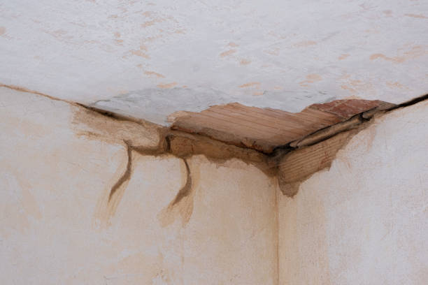 Best Water damage restoration services  in Kaukauna, WI