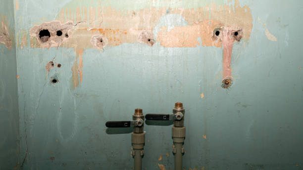 Best Fire Damage Restoration  in Kaukauna, WI
