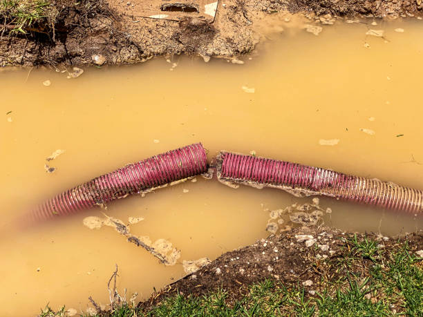 Best Local water damage restoration  in Kaukauna, WI